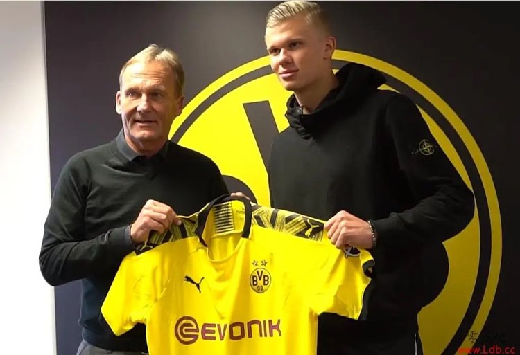 NBA季后赛展望：东西部首轮对阵预测,